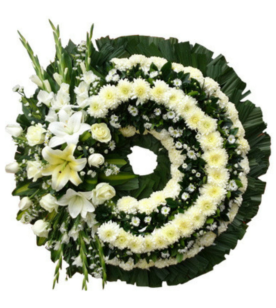 Aurores montreales dissertation 04 picture