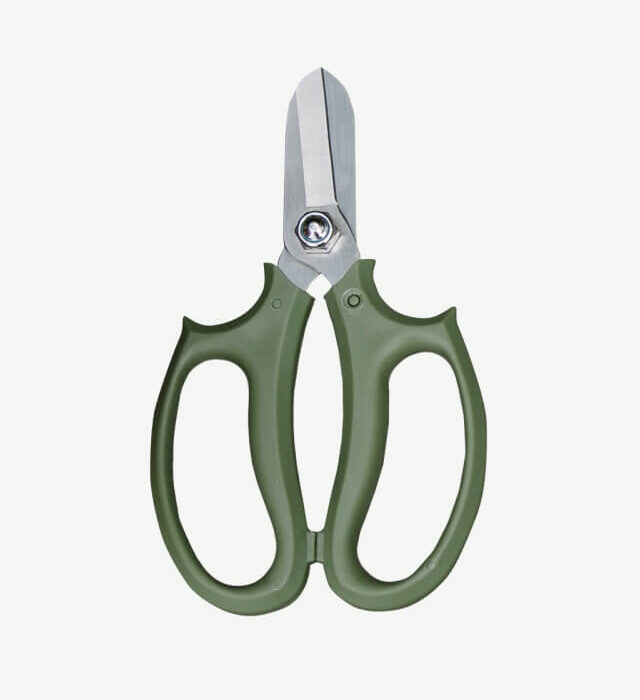 Straight Blade Scissor