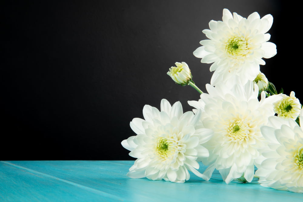 Flores para Funerales: Expresando el Último Adiós con Belleza y Significado